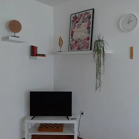 Ljiljan 2 Daire Ni